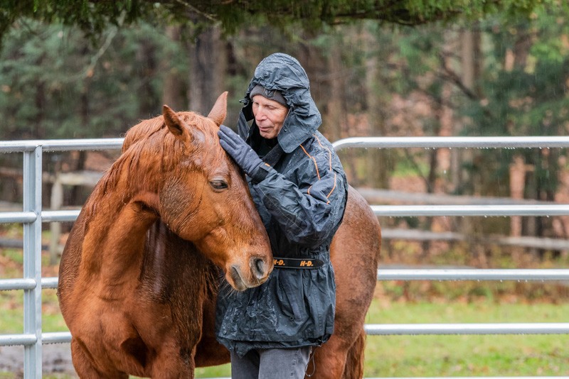 horse and human connection achieved