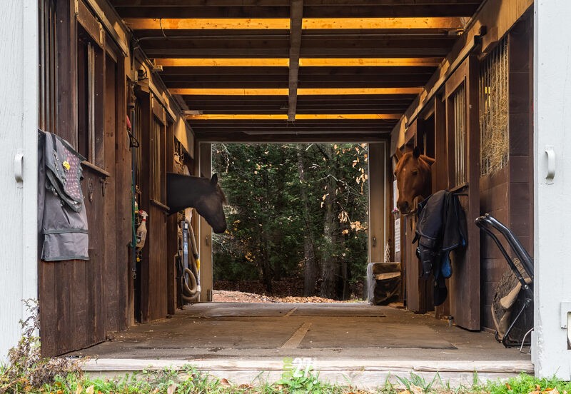 The horse barn at Breezy Knoll Farm