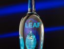 Leaf vodka bottle on blue striped background