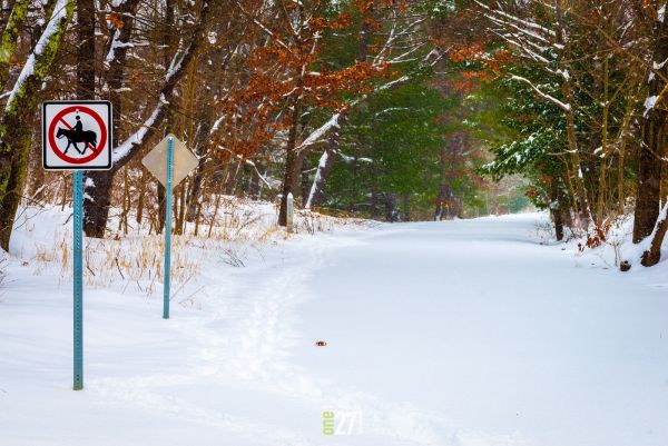 Bruce Freeman rail trail after a snow storm