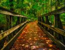 The bridge into Nashoba Brook