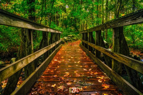 The bridge into Nashoba Brook